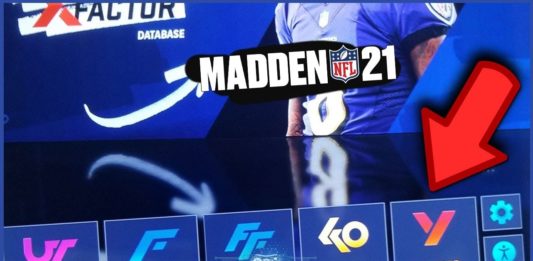 Madden 21 The Yard