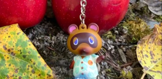 Animal Crossing Physical Rewards