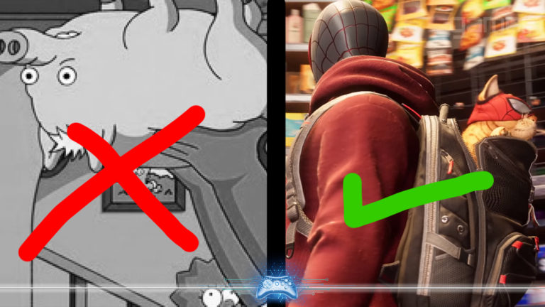 Porco aranha e spider cat