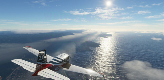 Microsoft flight simulator