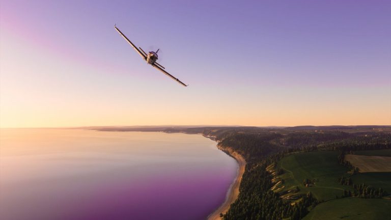 Microsoft Flight Sim Turtle Beach