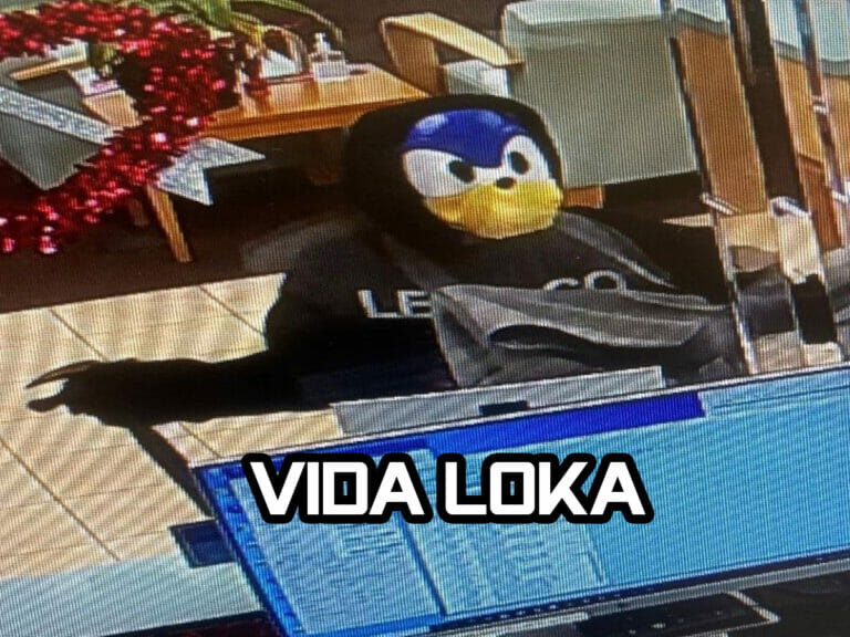 Sonic Vida loka