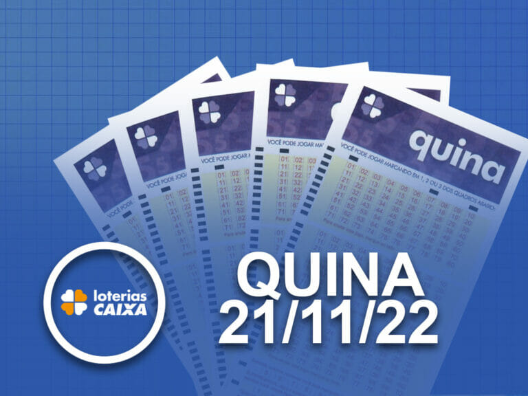 QUINA 6004