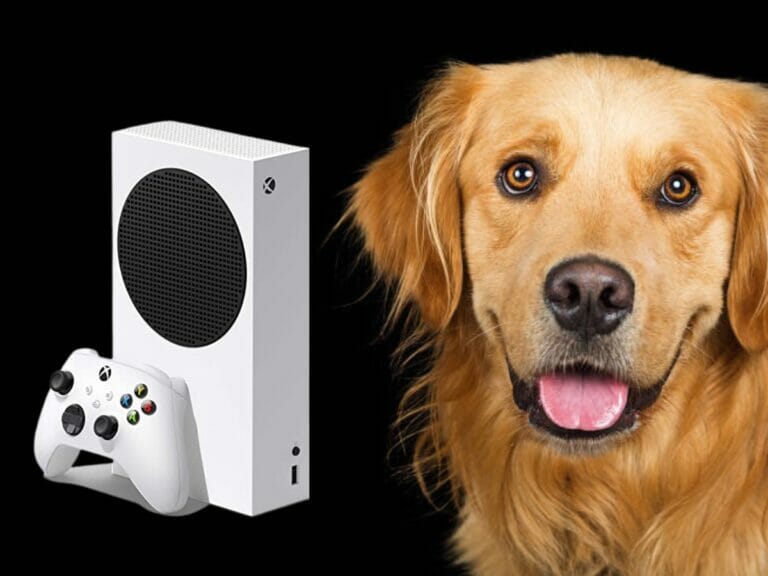 Xbox e Golden Retriever