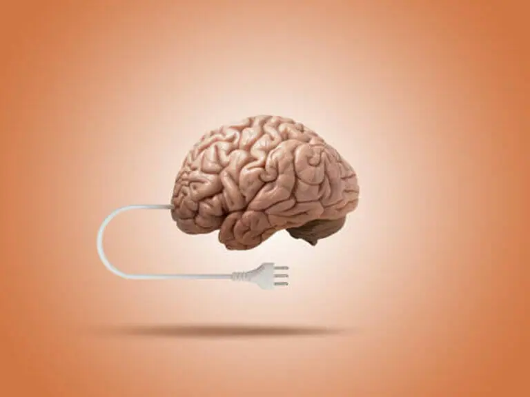 Brain plug