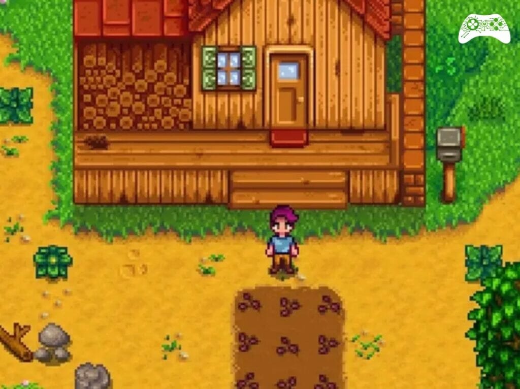 Stardew Valley