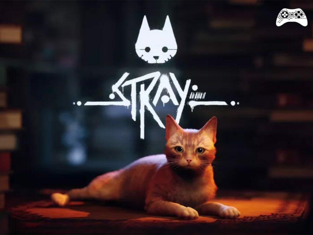 Stray
